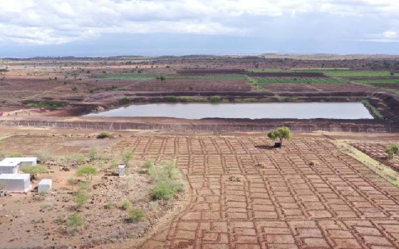 For Kajiado Maa farmers, cows are their new bank