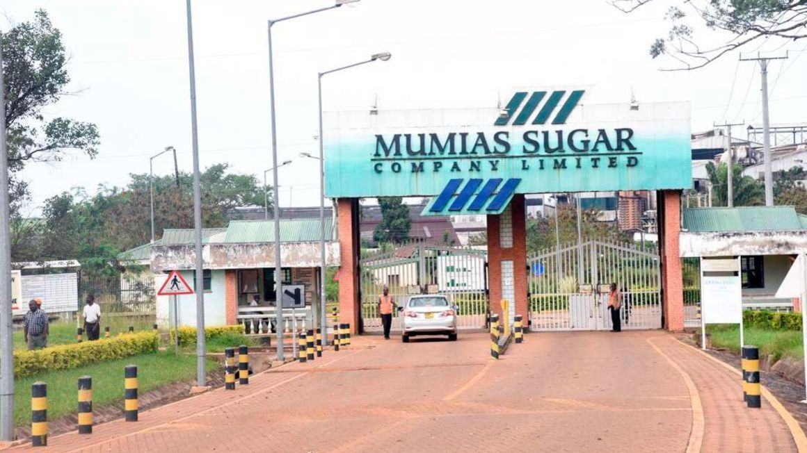 Court reverses order allowing Sarrai to resume Mumias operations
