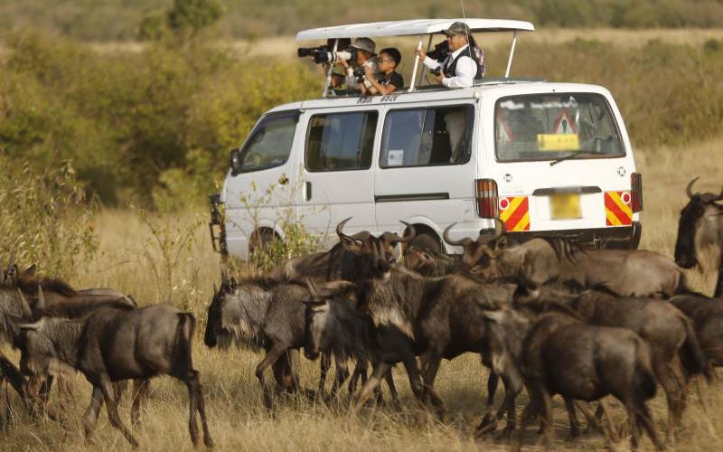 Tourism earnings up 65 per cent as State targets Sh172.9 billion