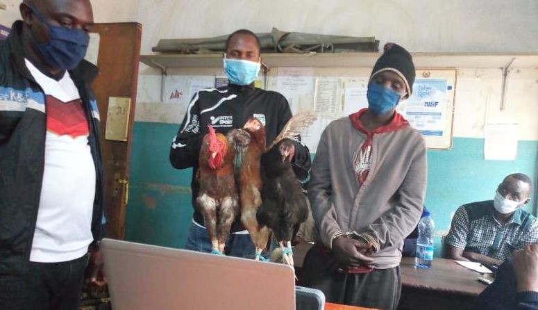 Man busted stealing chicken jailed for two years : The Standard