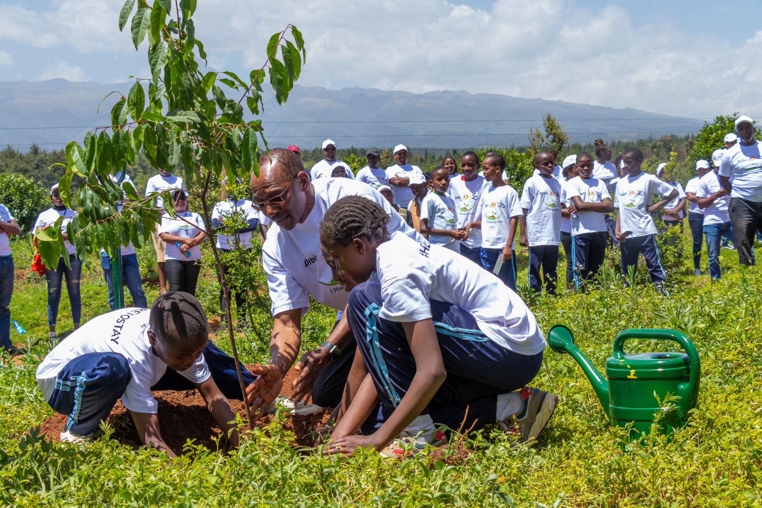 Dalbit marks twenty years of fuelling growth with tree planting drive
