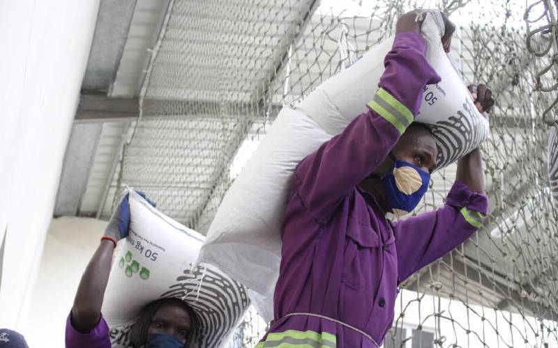 Sh46m fertiliser distribution to cushion Nakuru farmers