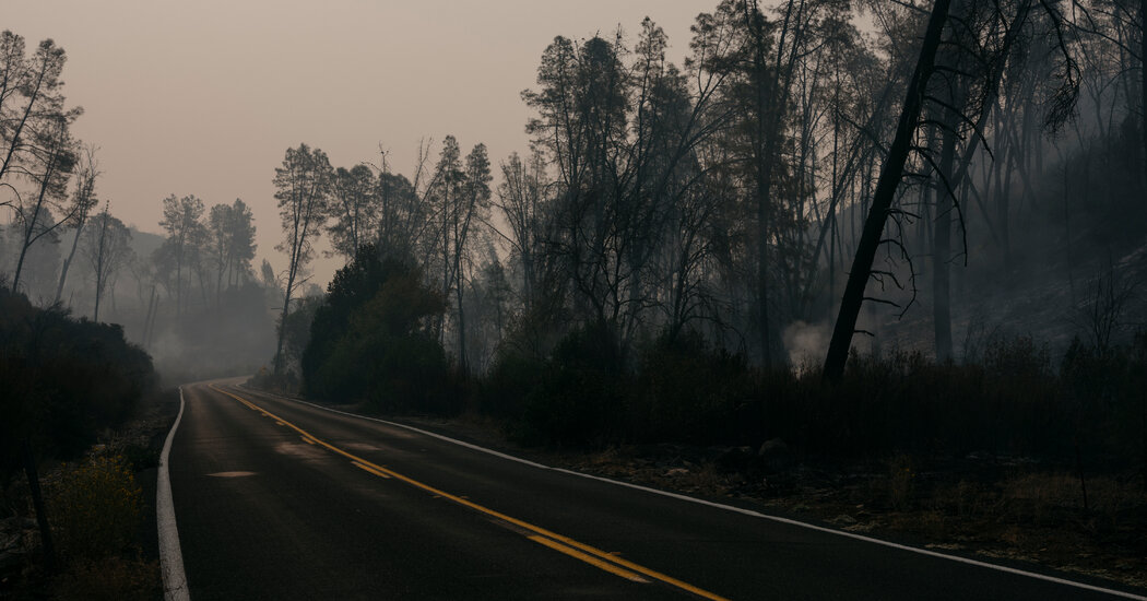 California Fires Live Updates: Lightning Storms Spare Fire Zone