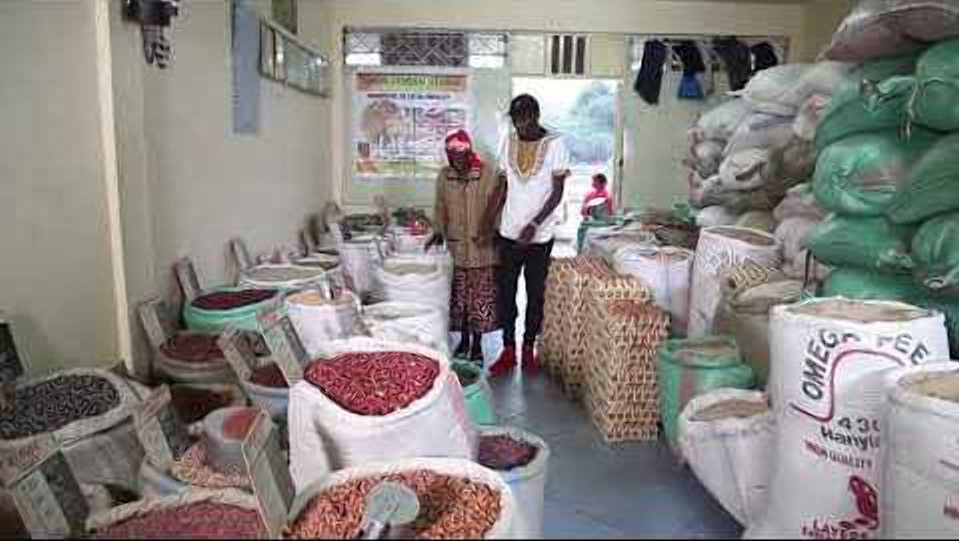 How my business grew from Sh. 13k to Sh. 210k monthly income