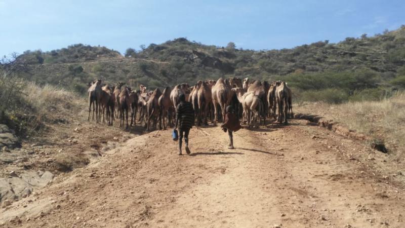 End of water woes in Turkana after don makes new discovery