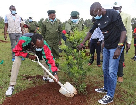 Environment: Kipchoge launches sub-two minutes tree planting challenge : The standard Sports