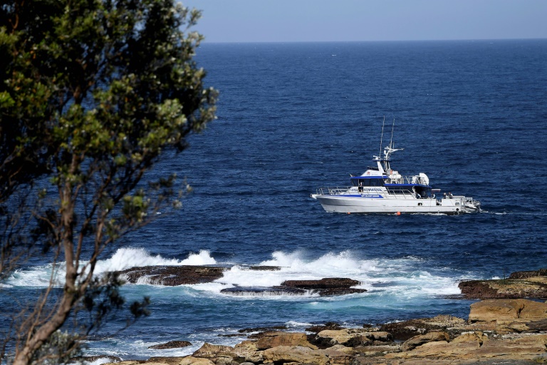 Sydney reopens beaches after fatal shark attack » Capital News