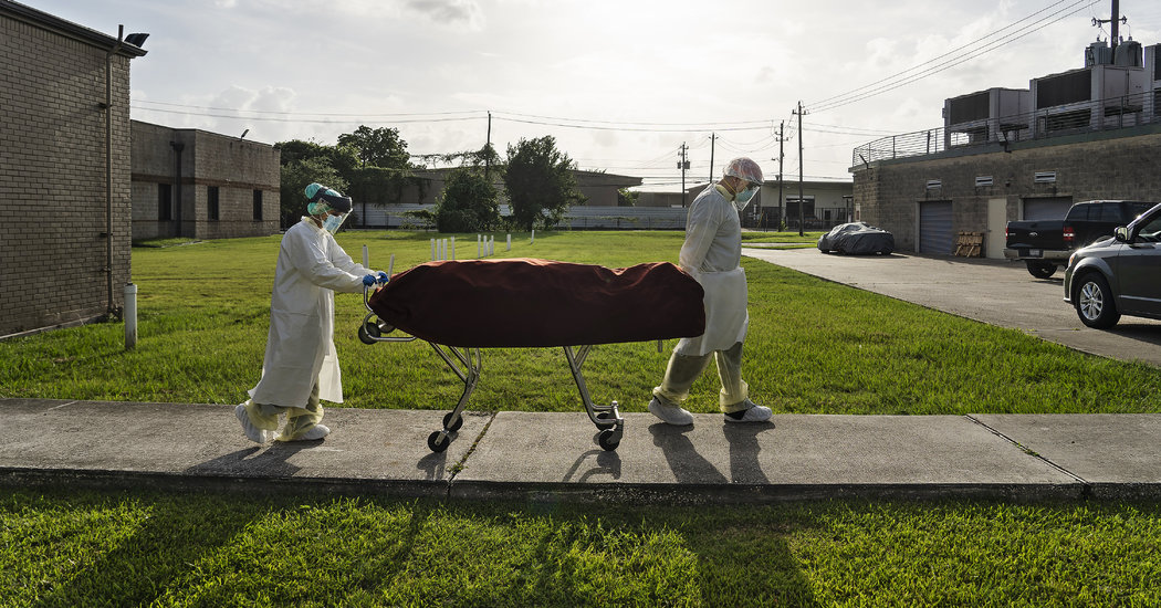 A New Surge in Virus Deaths