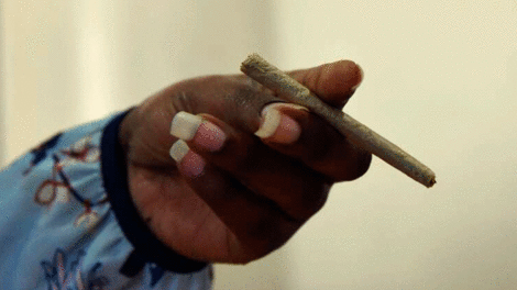 Five arrested ferrying 246 rolls of bhang – Nairobi News