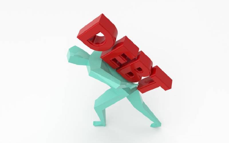 Risk concerns over State domestic borrowing