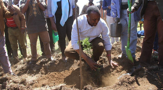 Meru residents urged to plant trees, restore forests » Capital News