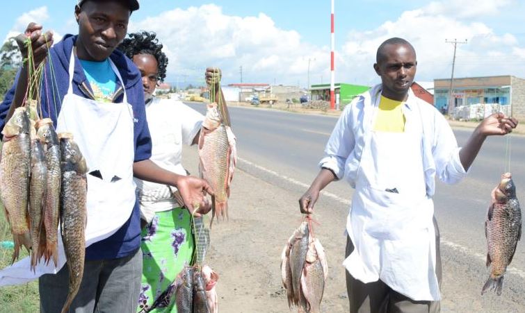 Buying Fish from Naivasha Hawkers is a Health Hazard