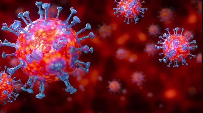 You are better off raising private resources to fight this virus: The Standard