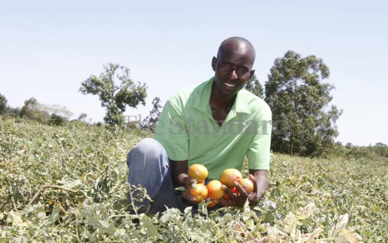 Man turns disputed land into source of livelihood