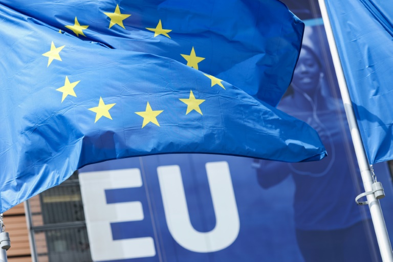 Germany, France seek EU backing on Putin summit bid » Capital News