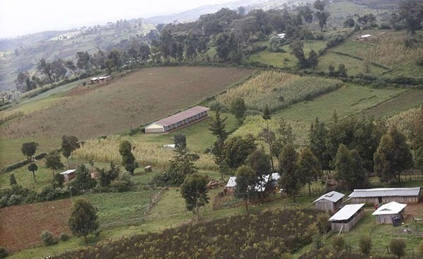 Kenya: Mau Forest Evictees' Plight Intensifies