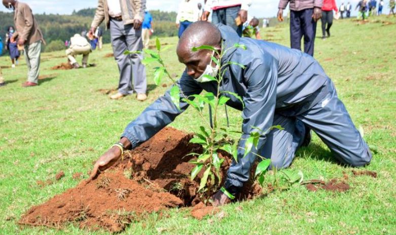 The Standard - Kenya: Eliud Kipchoge adopts 50 hectares in Kaptagat forest | The Standard