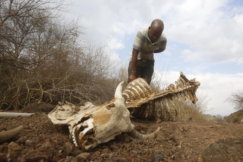 Drought slowed down growth of agricultural sector last year