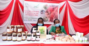 Women group use cactus to generate income – Kenya News Agency