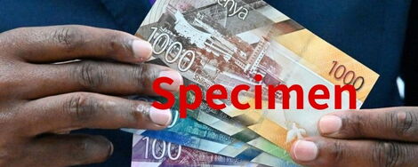 How NSSF Lost 667 Million in Deals With Fallen Banks