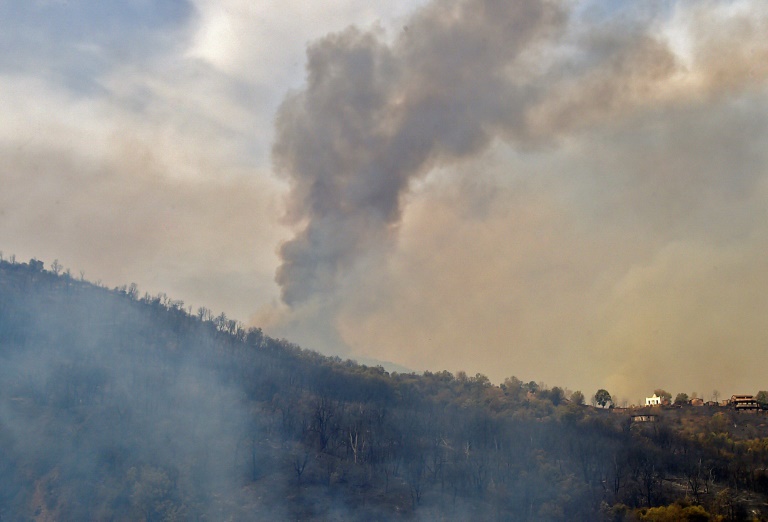 Seven dead as wildfires rage across Algeria » Capital News