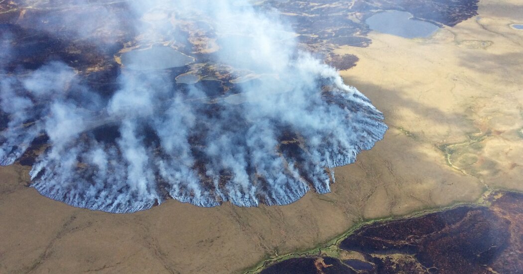 Blazes That Refuse to Die: ‘Zombie Fires’