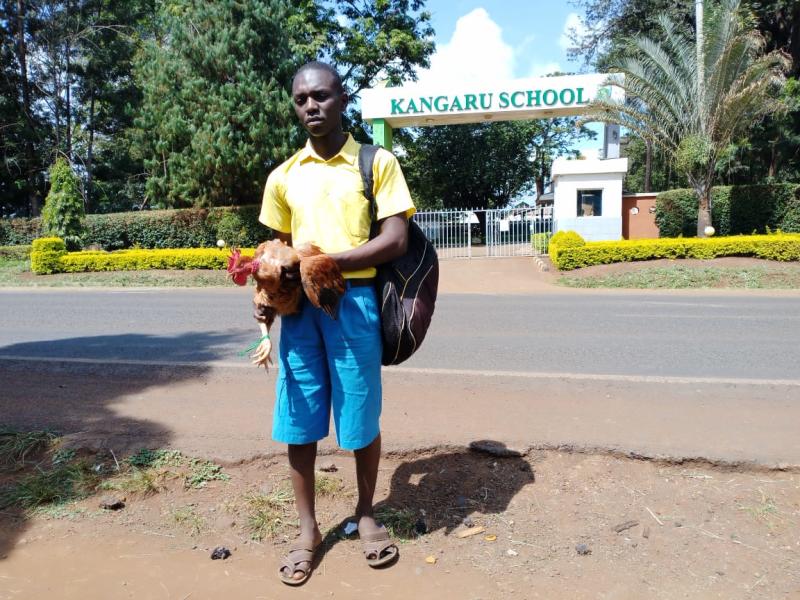 A student from Embu County left many astonished when he walked to Kangaru School, carrying a cockerel as school fees.