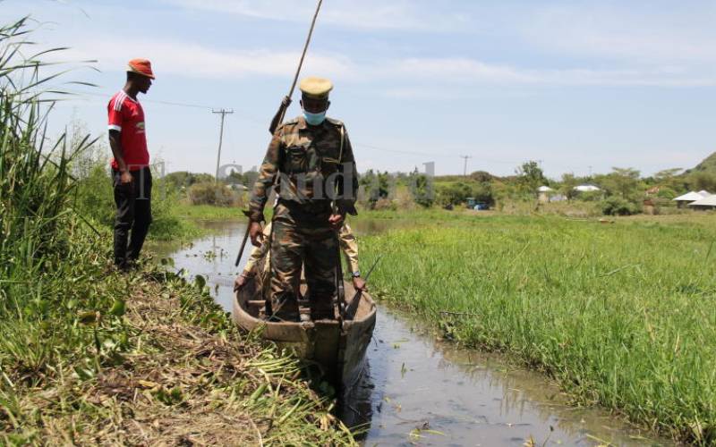 25-year-old researcher killed by hippo in Lake Victoria
