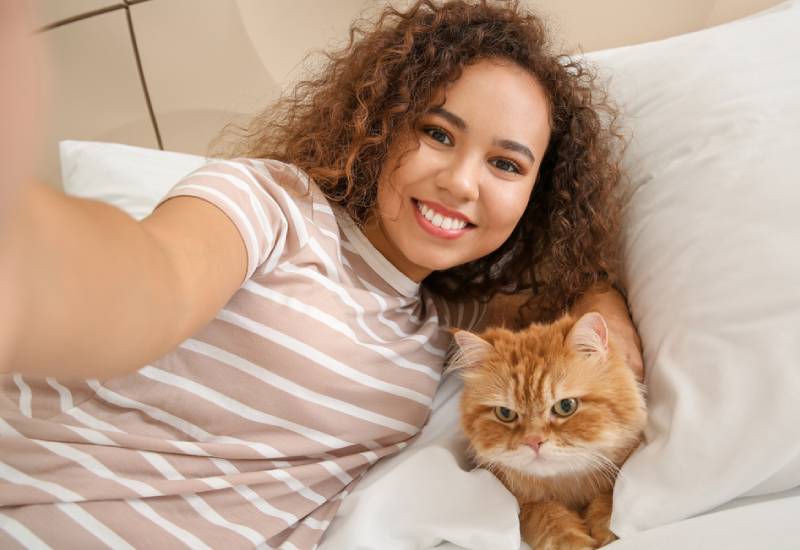 Six ways a cat can improve your health and happiness Eve woman