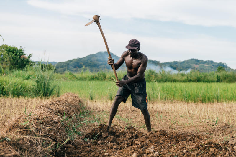 We need faith of a farmer to reap the seeds of hard work