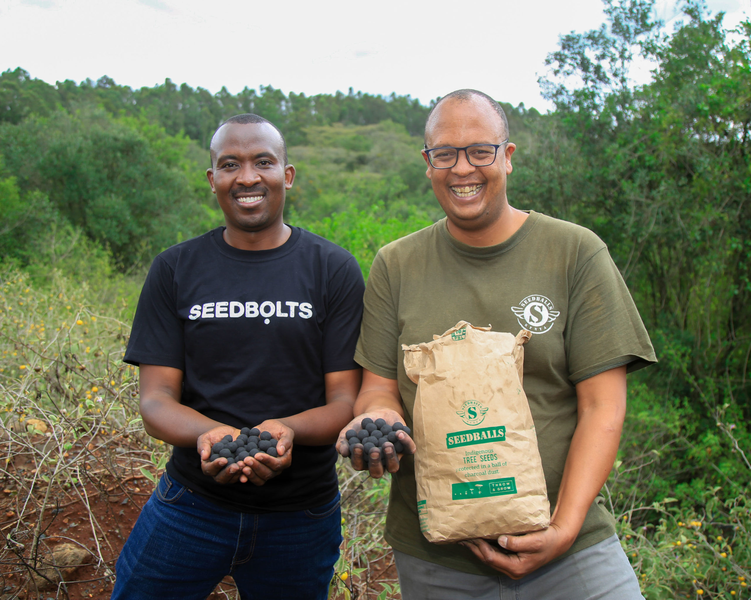 Bolt to plant 11 million trees across the country in new partnership