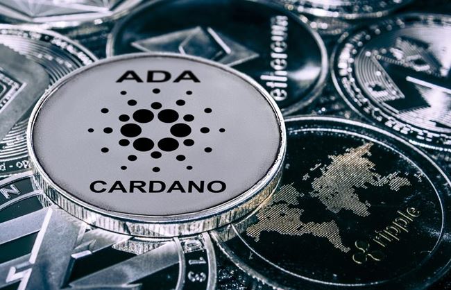How to Stake Cardano?