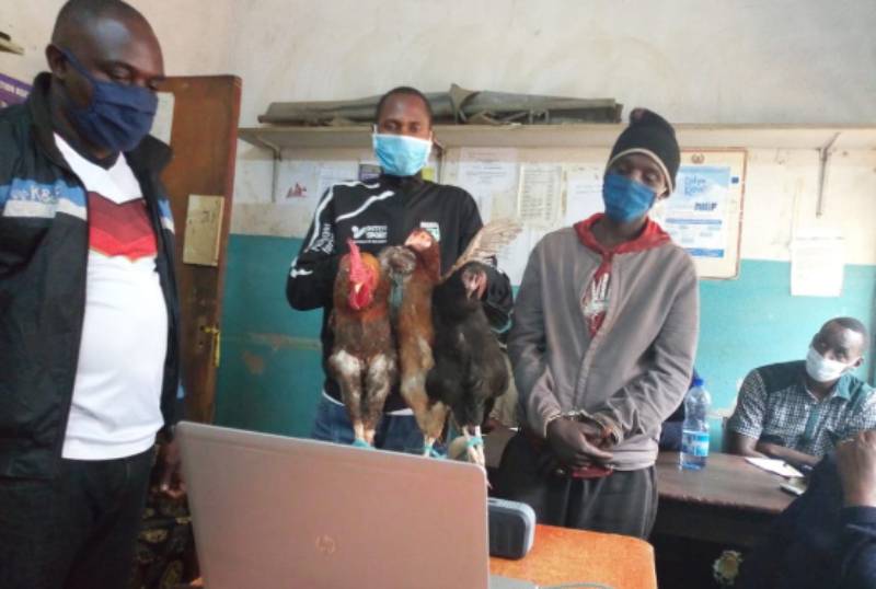 Man sentenced to two years for stealing chicken: The Standard