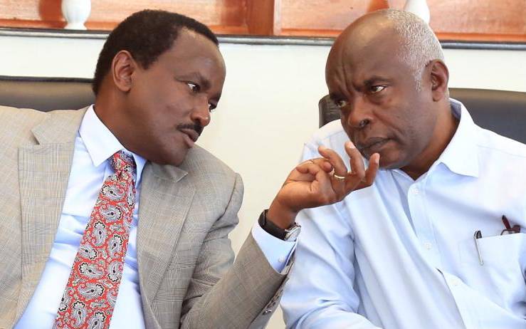Kalonzo, Kibwana to face off in village politics