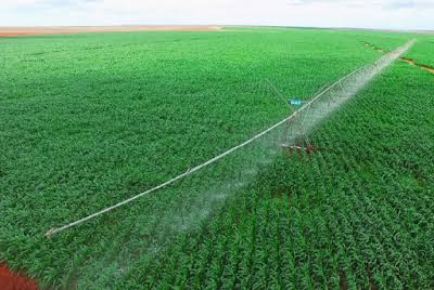 Galana-Kulalu Project Contract With Green Arava Now Publicly Revoked By Government Of Kenya.