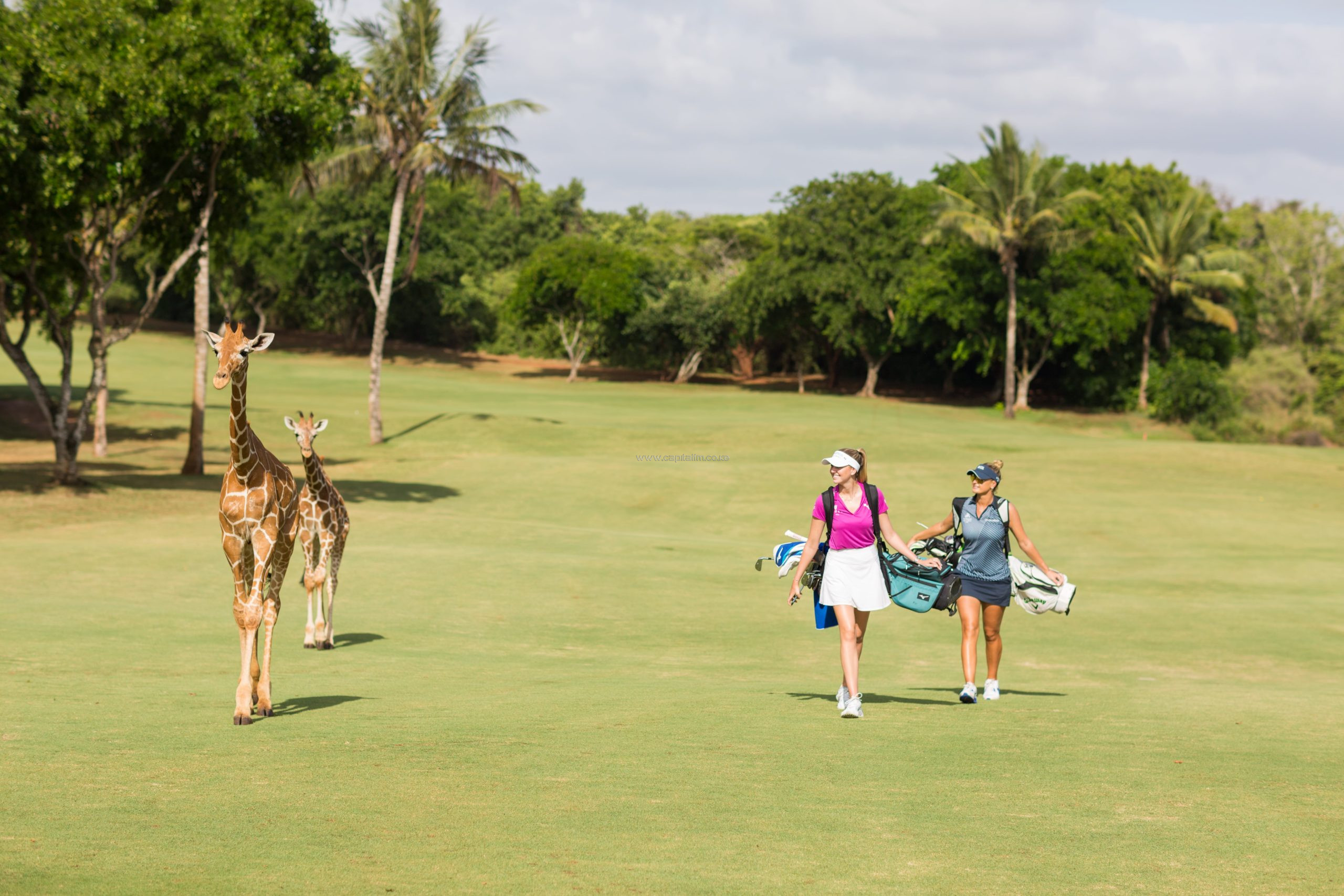 Wildlife beautify Magical Kenya Ladies Open as European Tour tees-off