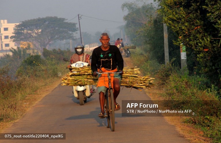 After wheat, India caps sugar exports