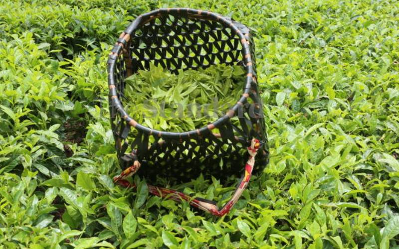 Why Kenyan tea fetches peanuts
