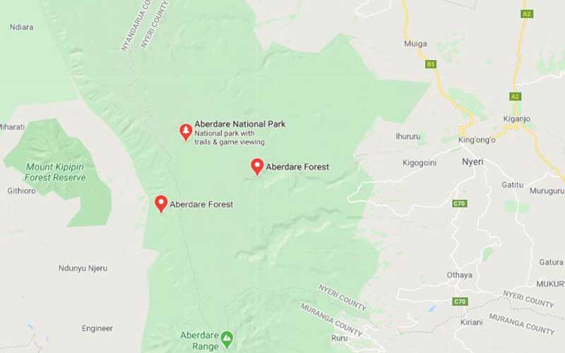 Macabre: Chiefs get caught up in sex case: The Standard