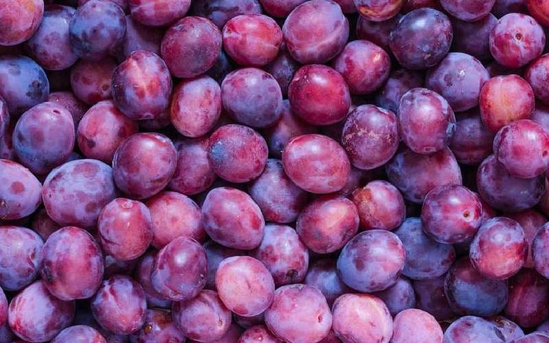 The season of plums! Learn and cash in on it