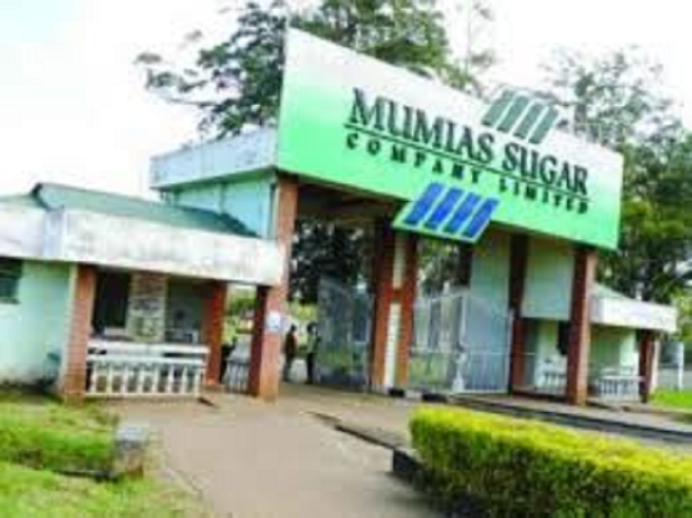 Reveiver Manager Accused Of Shortchanging The State Miller In Takeover Bid