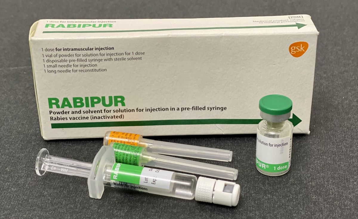 Kenya: People Will Continue to Die of Rabies If Kenya Doesn't Educate Healthcare Workers