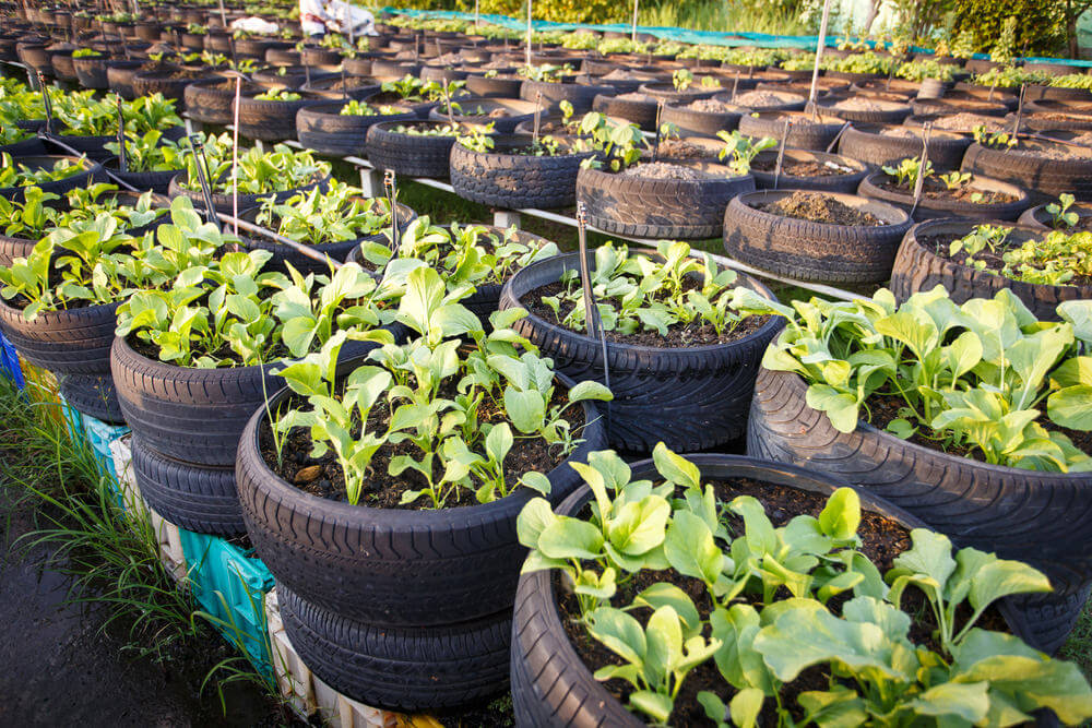 How you can make use of old tyres on your farm