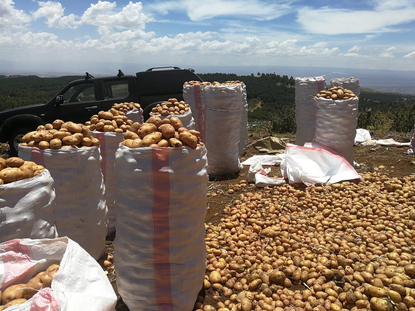 Kenya must work with multinationals on quality to attract them to local produce » Capital News