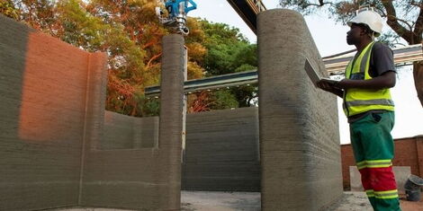 A file image of a construction worker at the site of Tree No.0