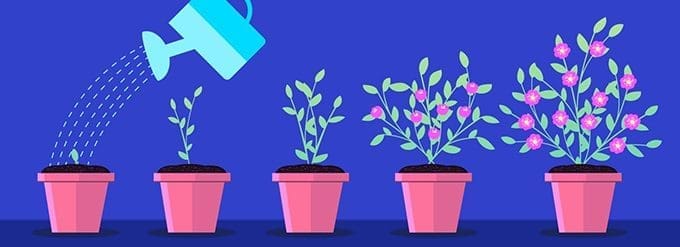 How to tap in to Flourish