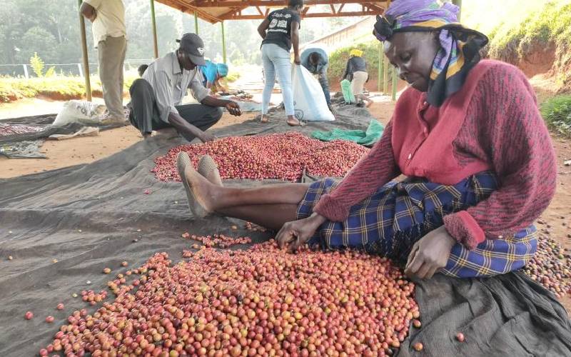 Coffee producers want bloc to declare crop strategic commodity