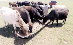 Tyre Farming