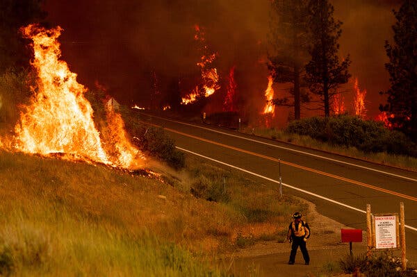 The Tamarack Fire, which was named after a California town near where the blaze broke out in July.