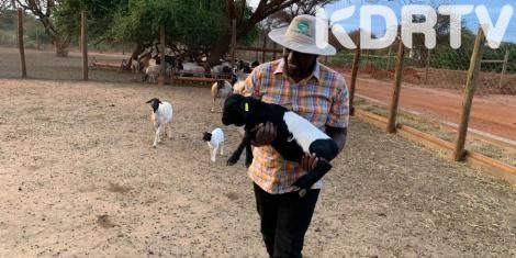 Ruto Reveals How He Got 2500-Acre Farm in Taita Taveta